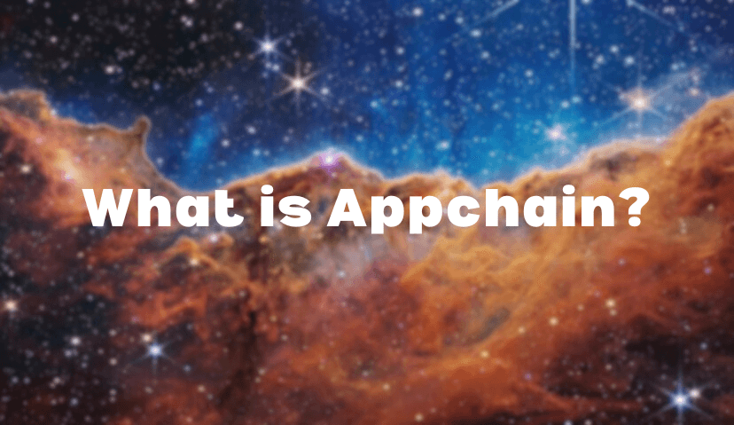 What is an Appchain?